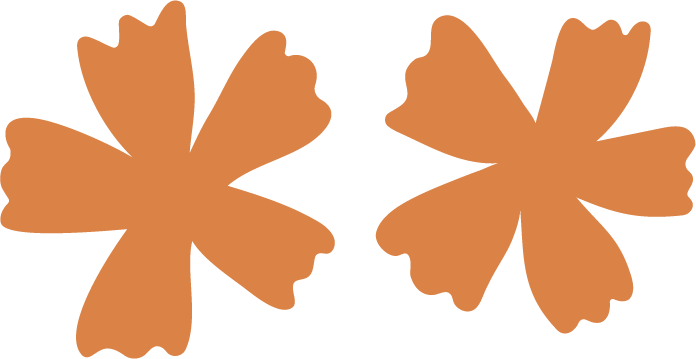 bloom-fisioterapia-y-osteopatia-flores-naranja
