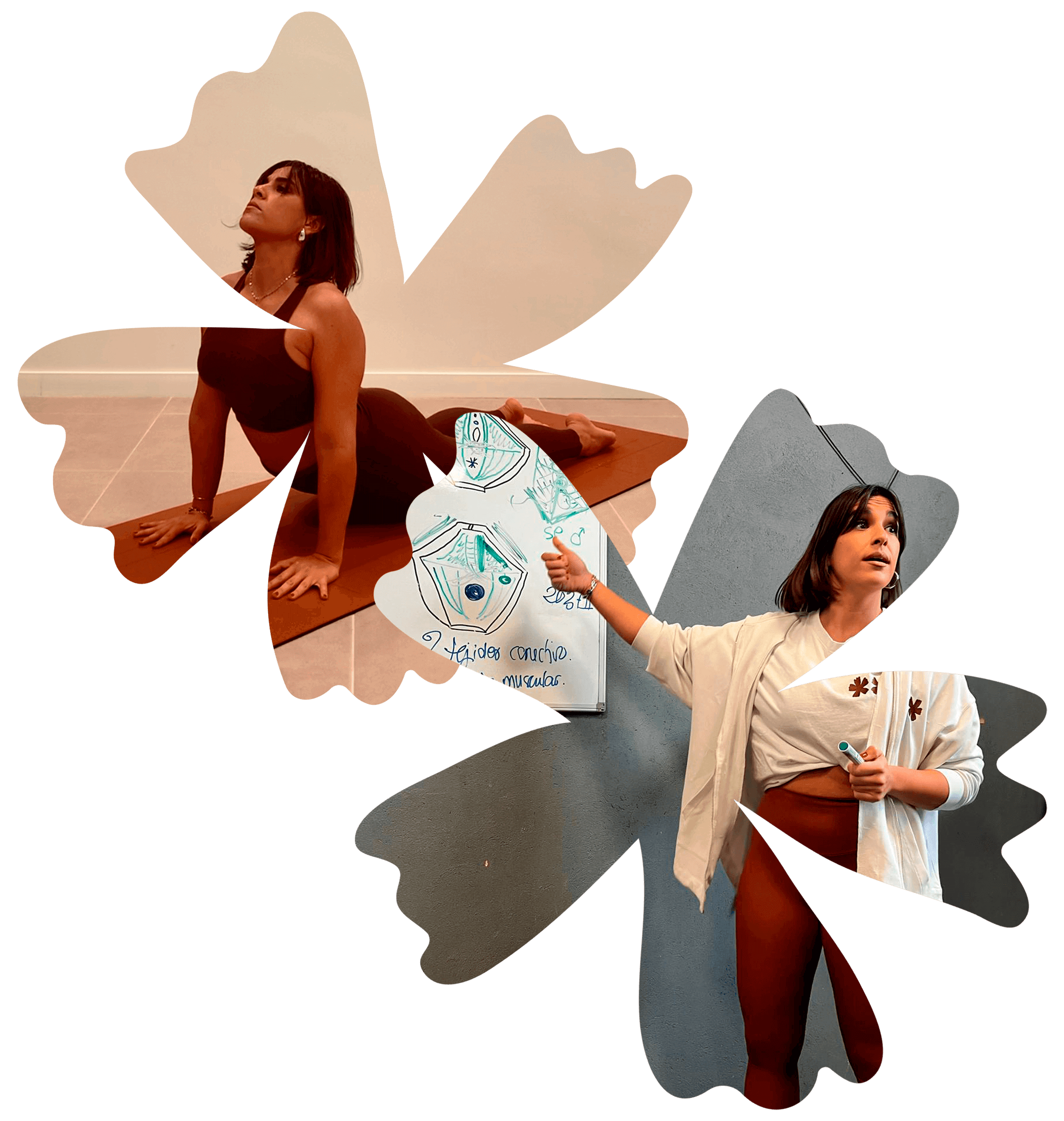 bloom-fisioterapia-fisioyoga-osteopatia-en-ayamonte